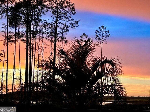 view of nature at dusk