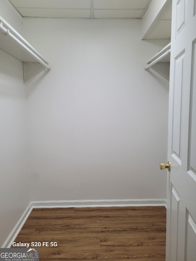 spacious closet featuring hardwood / wood-style flooring