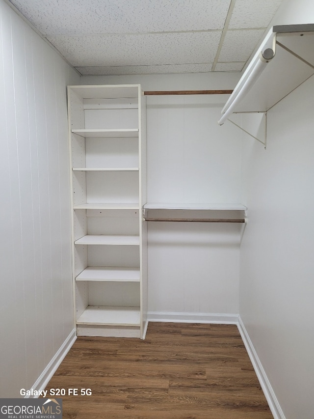 walk in closet with a drop ceiling and dark hardwood / wood-style floors