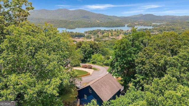 aerial view with a water and mountain view