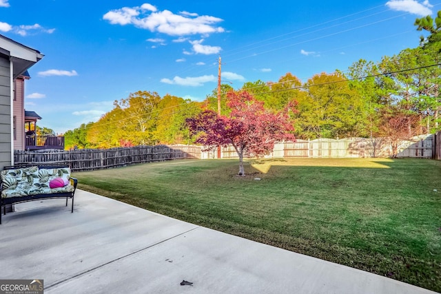 view of yard featuring a patio