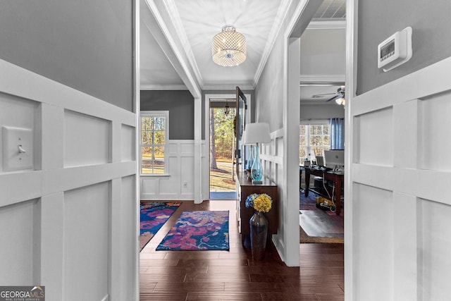 foyer with dark hardwood / wood-style flooring, ornamental molding, and ceiling fan