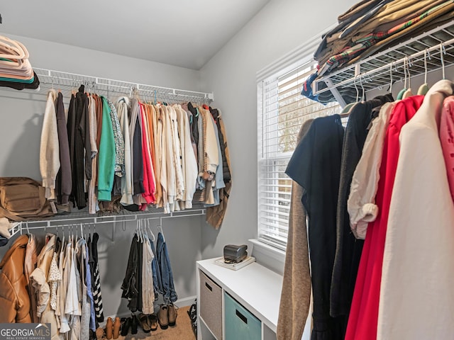 walk in closet featuring carpet flooring