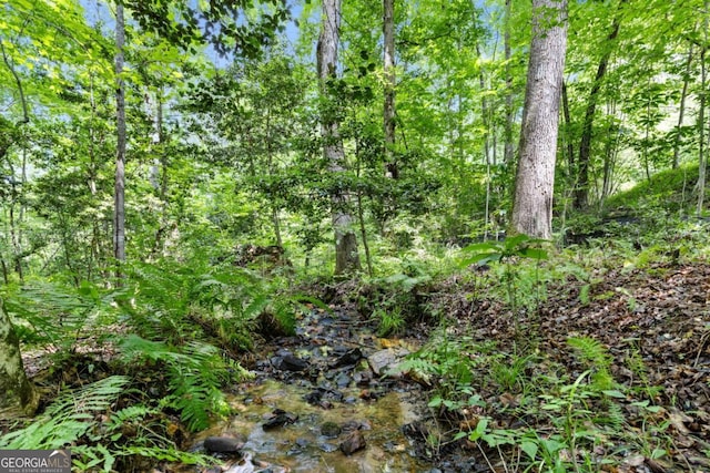 view of local wilderness