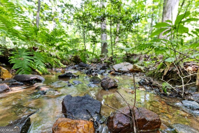 view of nature