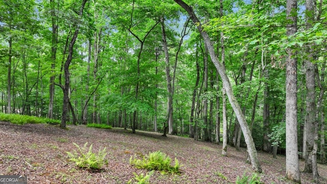 view of nature