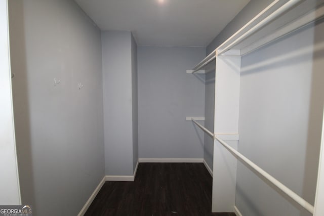 spacious closet featuring dark hardwood / wood-style flooring