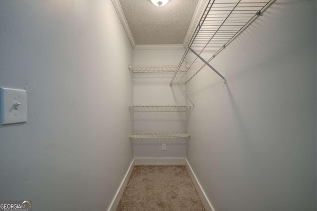 spacious closet featuring carpet flooring