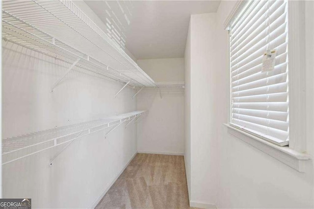 walk in closet with light colored carpet