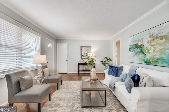 living room featuring hardwood / wood-style floors, ornamental molding, and a textured ceiling