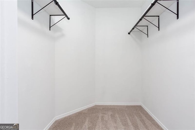 4100 Chanticleer Dr, Kennesaw, GA 30152 - walk in closet featuring carpet