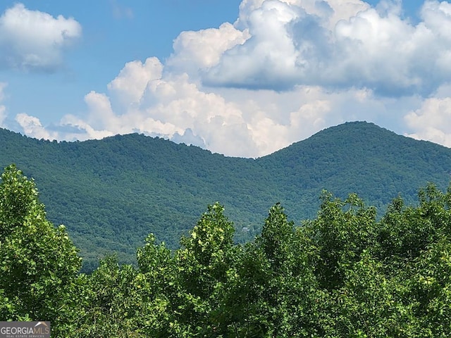 LOT149 The Mtn, Blairsville GA, 30512 land for sale