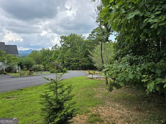 Listing photo 2 for LOT149 The Mtn, Blairsville GA 30512