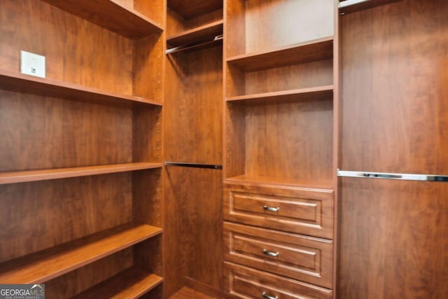 view of spacious closet