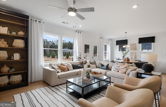 living room with ceiling fan and light hardwood / wood-style flooring