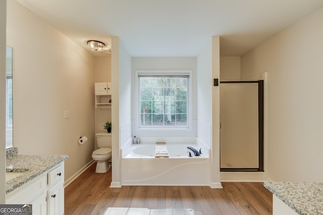 bathroom with a garden tub, a shower stall, wood finished floors, and vanity