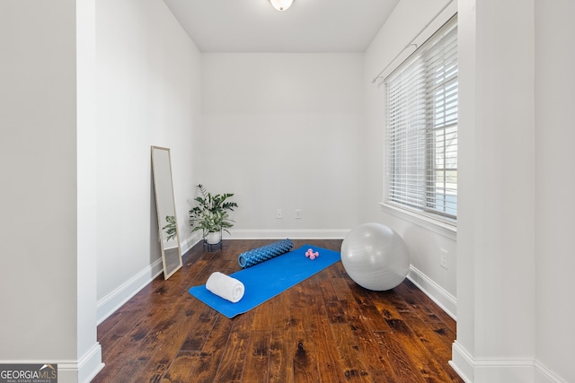 exercise room featuring dark hardwood / wood-style floors