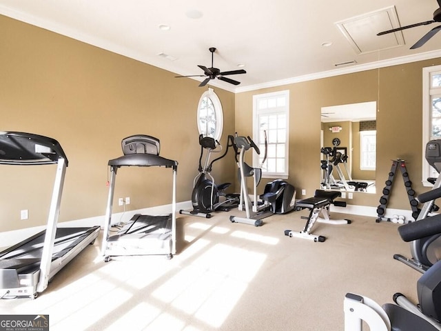 workout area featuring crown molding and ceiling fan