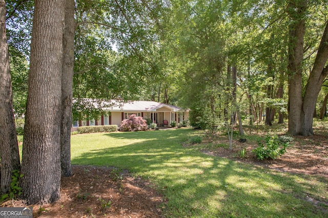 view of yard with a porch