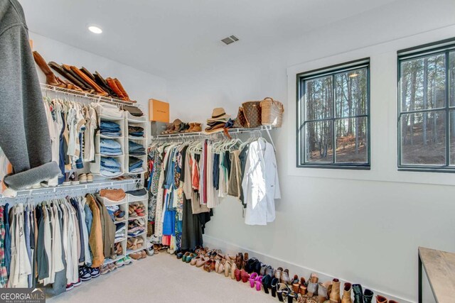 spacious closet with carpet