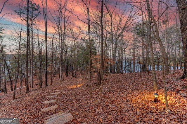 view of nature at dusk