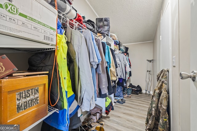 walk in closet with light hardwood / wood-style floors