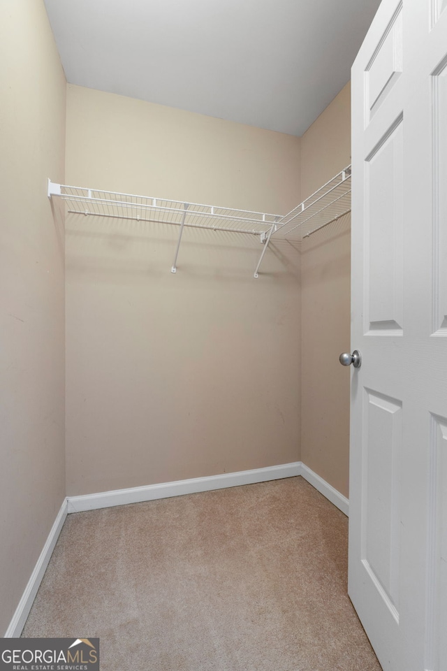 walk in closet featuring light colored carpet