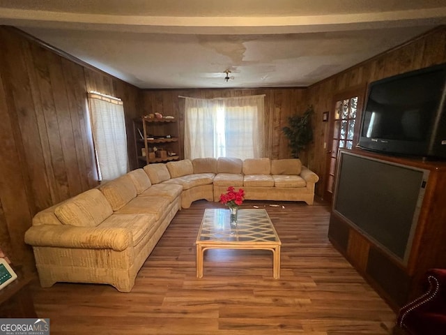 living room featuring wood-type flooring and wooden walls