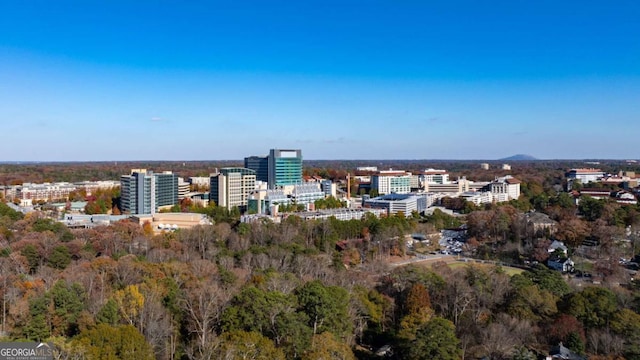 1366 Emory Rd NE, Atlanta, GA 30306 - birds eye view of property featuring a view of city
