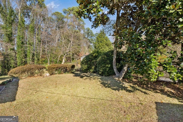 1366 Emory Rd NE, Atlanta, GA 30306 - view of yard