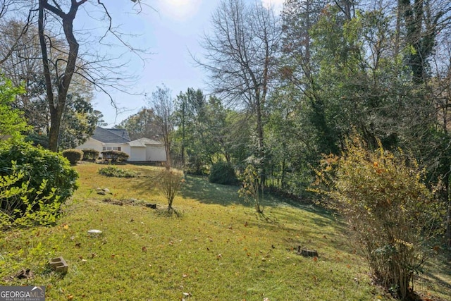 1366 Emory Rd NE, Atlanta, GA 30306 - view of yard