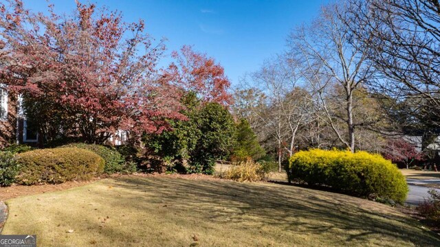 1366 Emory Rd NE, Atlanta, GA 30306 - view of yard