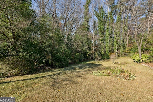 view of local wilderness