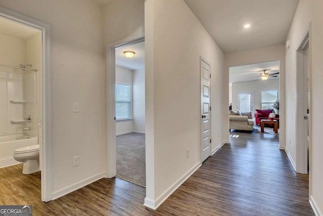 hall with a wealth of natural light and dark hardwood / wood-style floors