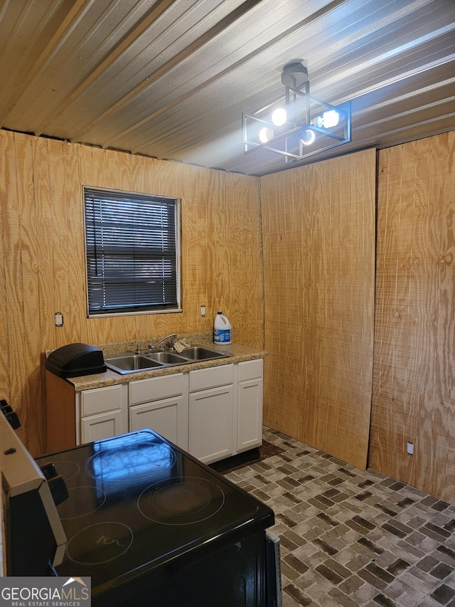 clothes washing area featuring sink, wooden ceiling, and wood walls