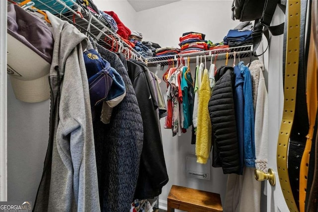 view of walk in closet