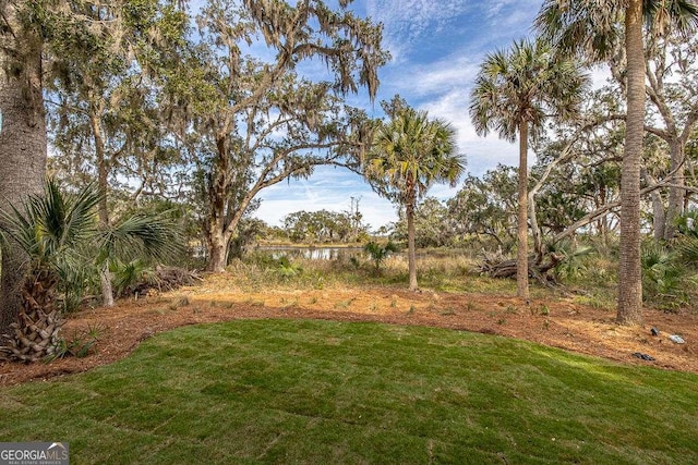 view of yard featuring a water view