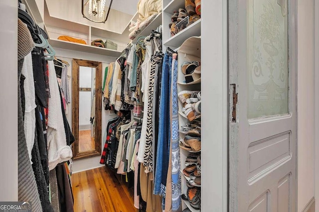 walk in closet with wood-type flooring