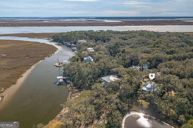 bird's eye view with a water view and a view of trees