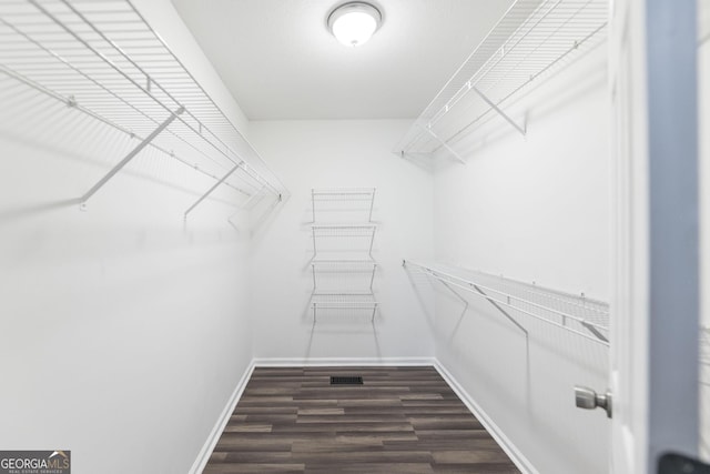 walk in closet featuring dark hardwood / wood-style floors