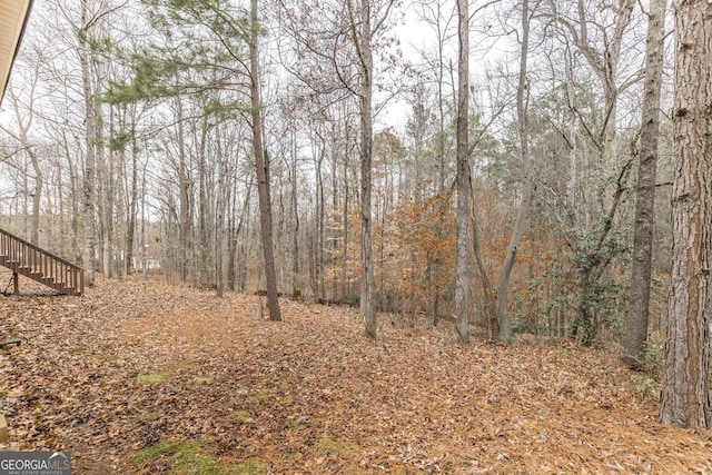 view of local wilderness