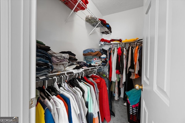 walk in closet featuring carpet floors