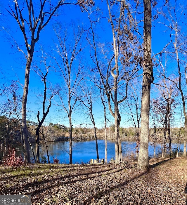 148 N Stewart Ln, Griffin, GA 30224 - water view