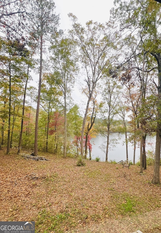 property view of water