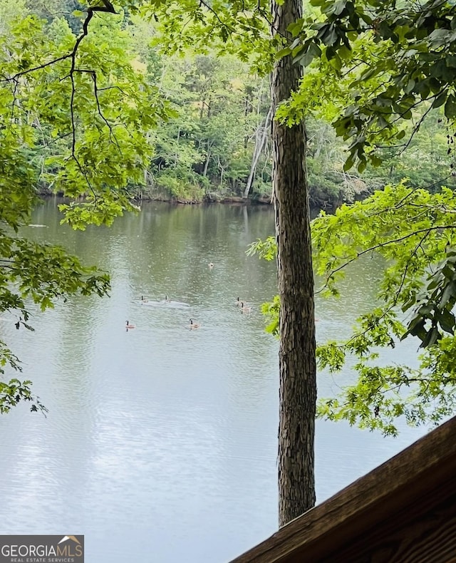 148 N Stewart Ln, Griffin, GA 30224 - view of water feature