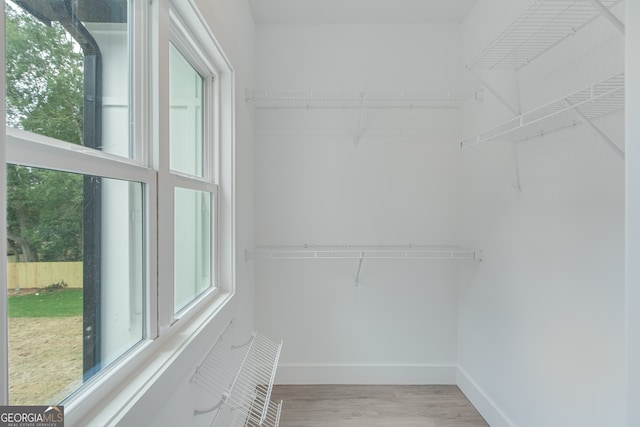 spacious closet featuring light hardwood / wood-style floors