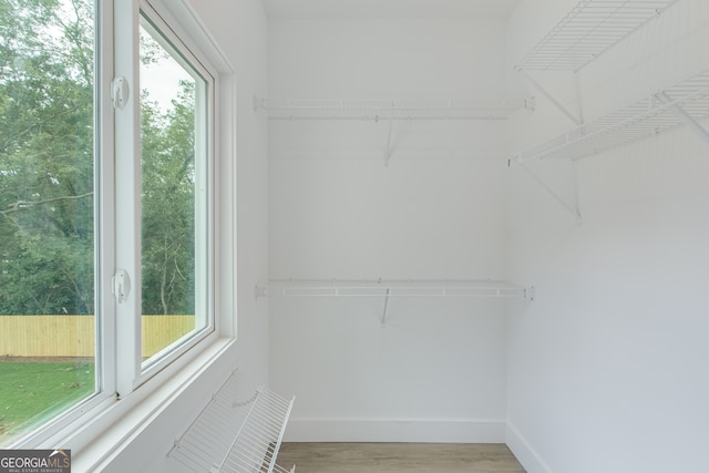 spacious closet with hardwood / wood-style flooring