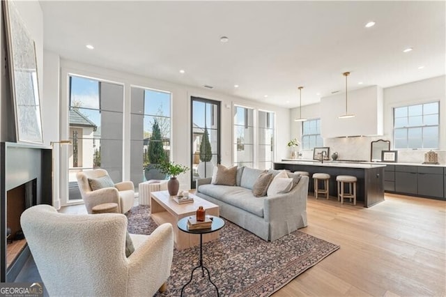 living room with light hardwood / wood-style floors