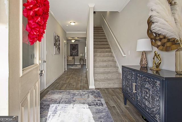 foyer entrance featuring ornamental molding, dark hardwood / wood-style flooring, and ceiling fan