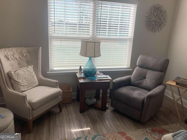 living area featuring hardwood / wood-style floors